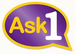 Ask One Preston purple