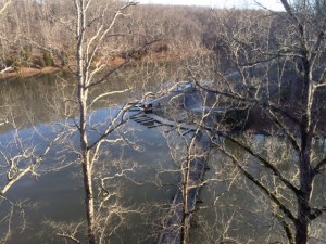 Overlooking the docks outside the Inn at Montgomery Bell State Park.